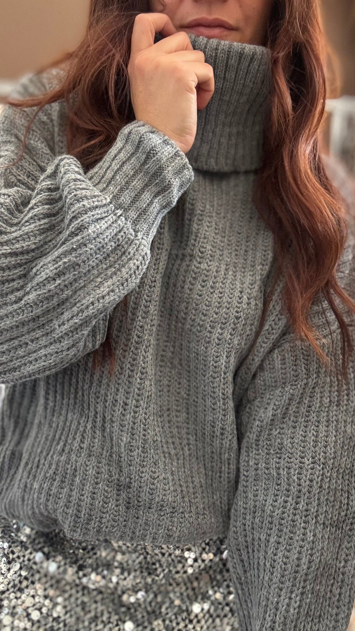 Pull Col Roulé Gris