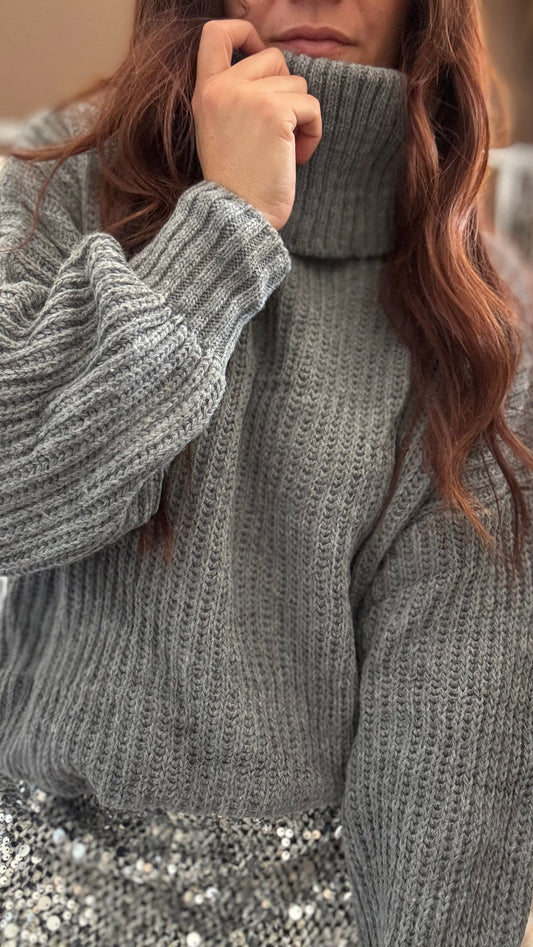 Pull Col Roulé Gris
